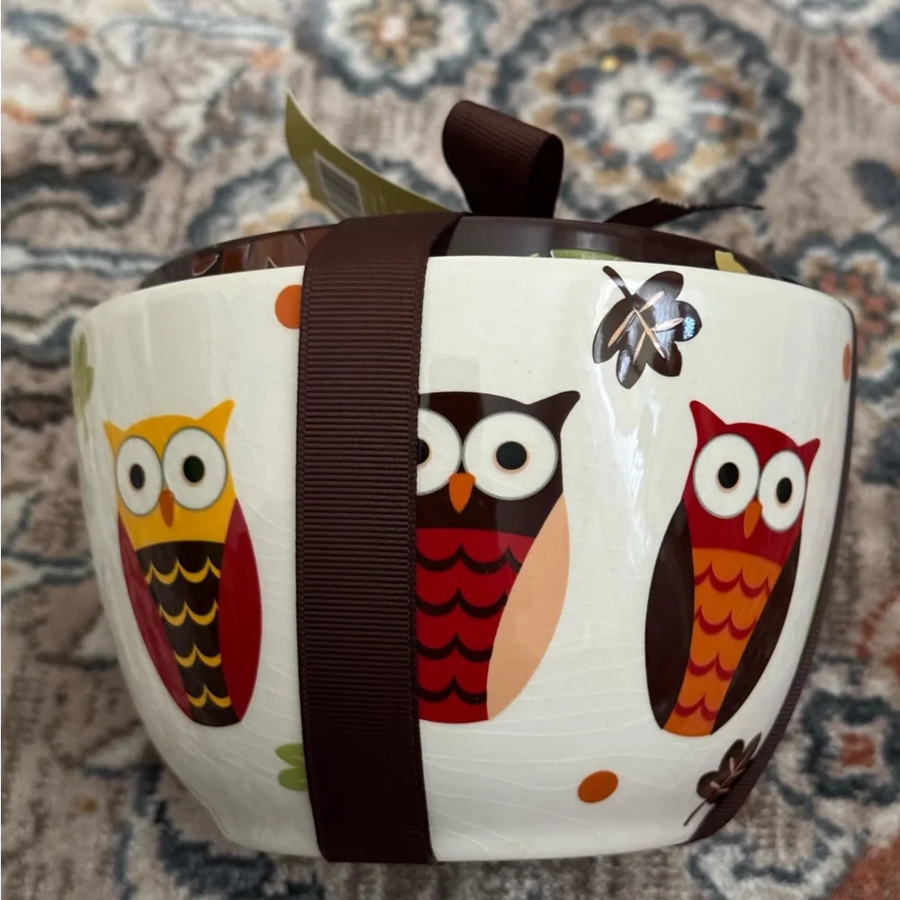 Pier 1 imports ceramic 3 piece bowl set new with tag dishwasher safe